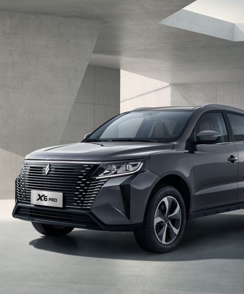 Livan X6 Pro (I) (2023-)