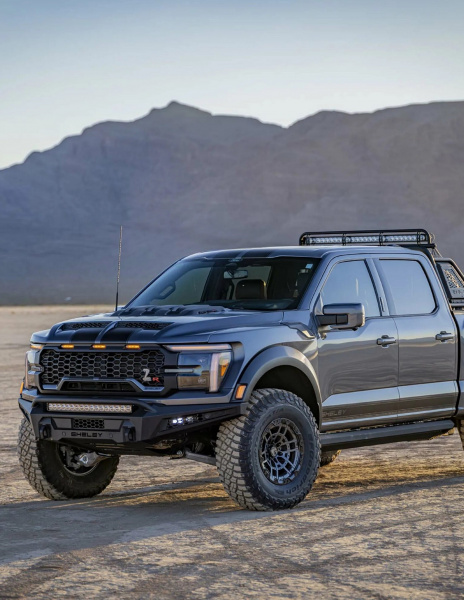 Ford F-150 (XIV) (FL 2024-)