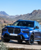 BMW X7 G07 (FL 2022-)