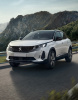 Peugeot 3008 (II) (FL 2020-2024)