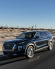 Hyundai Palisade (2018-2025)
