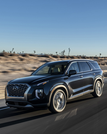 Hyundai Palisade (2018-2025)