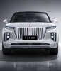 Hongqi E-HS9 2020-