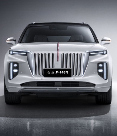 Hongqi E-HS9 2020-